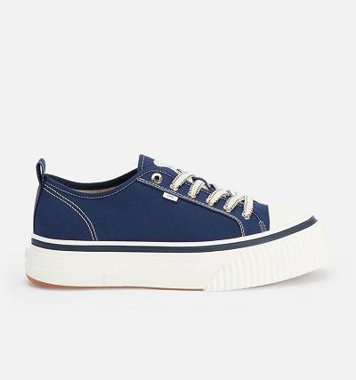 Ami Paris Low Top Ami 1980 Sneakers Navy | ami_US532