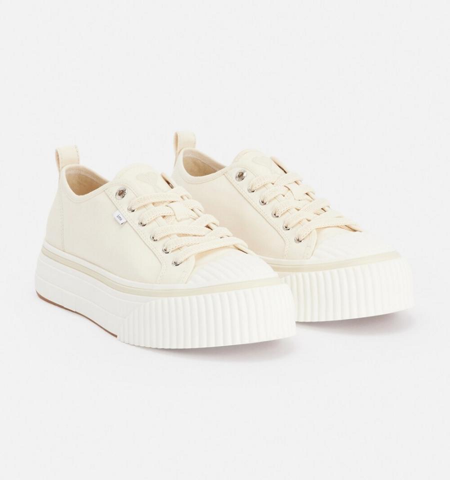 Ami Paris Low Top Ami 1980 Sneakers Beige | ami_US420