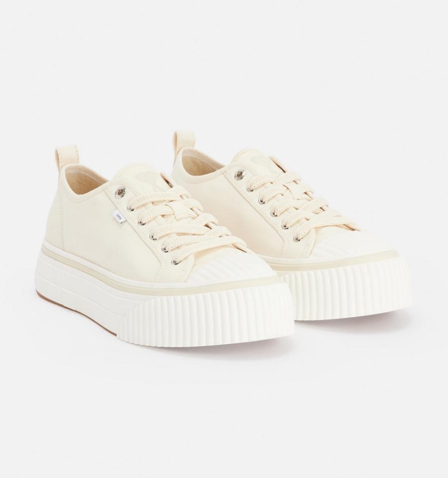 Ami Paris Low Top Ami 1980 Sneakers Beige | ami_US489